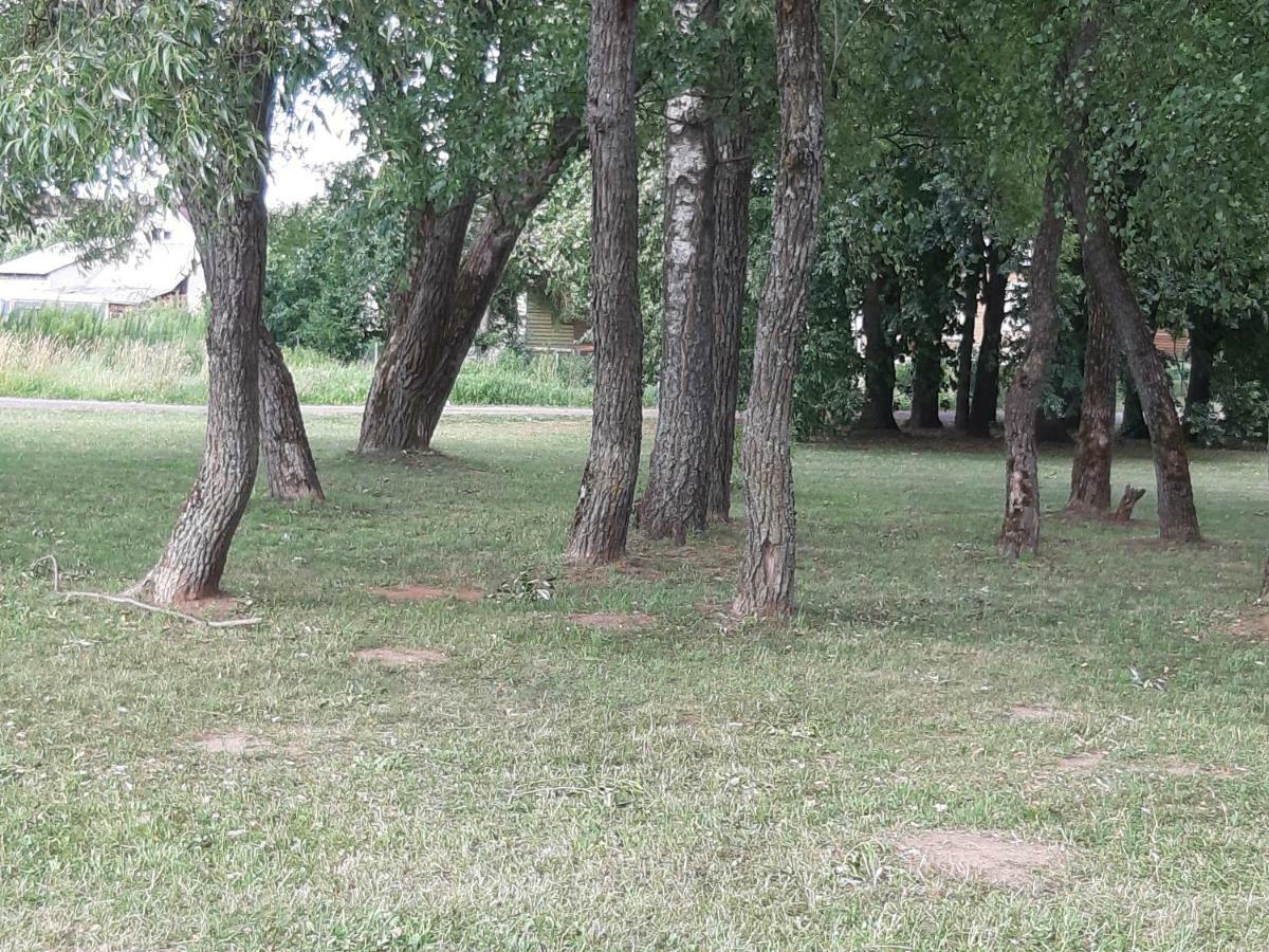 Apartamentai Pas Danute Prienai Buitenkant foto